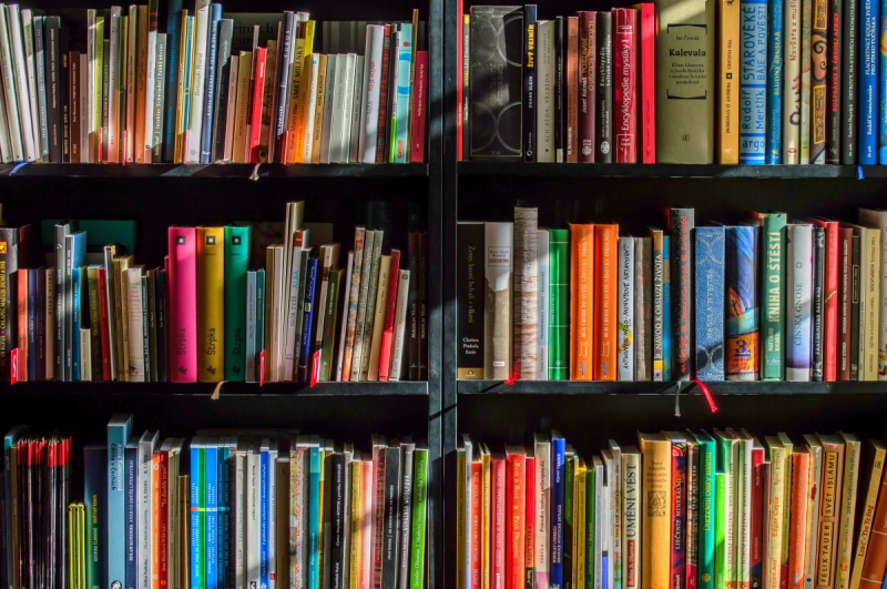 vitrine-BENDEJUN-min_books_bookstore_book_reading_shop_writer_sale_books_read-822866