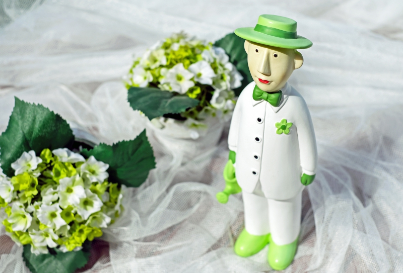 vitrine-BENDEJUN-min_man-person-flower-green-toy-fig-546529-pxhere.com